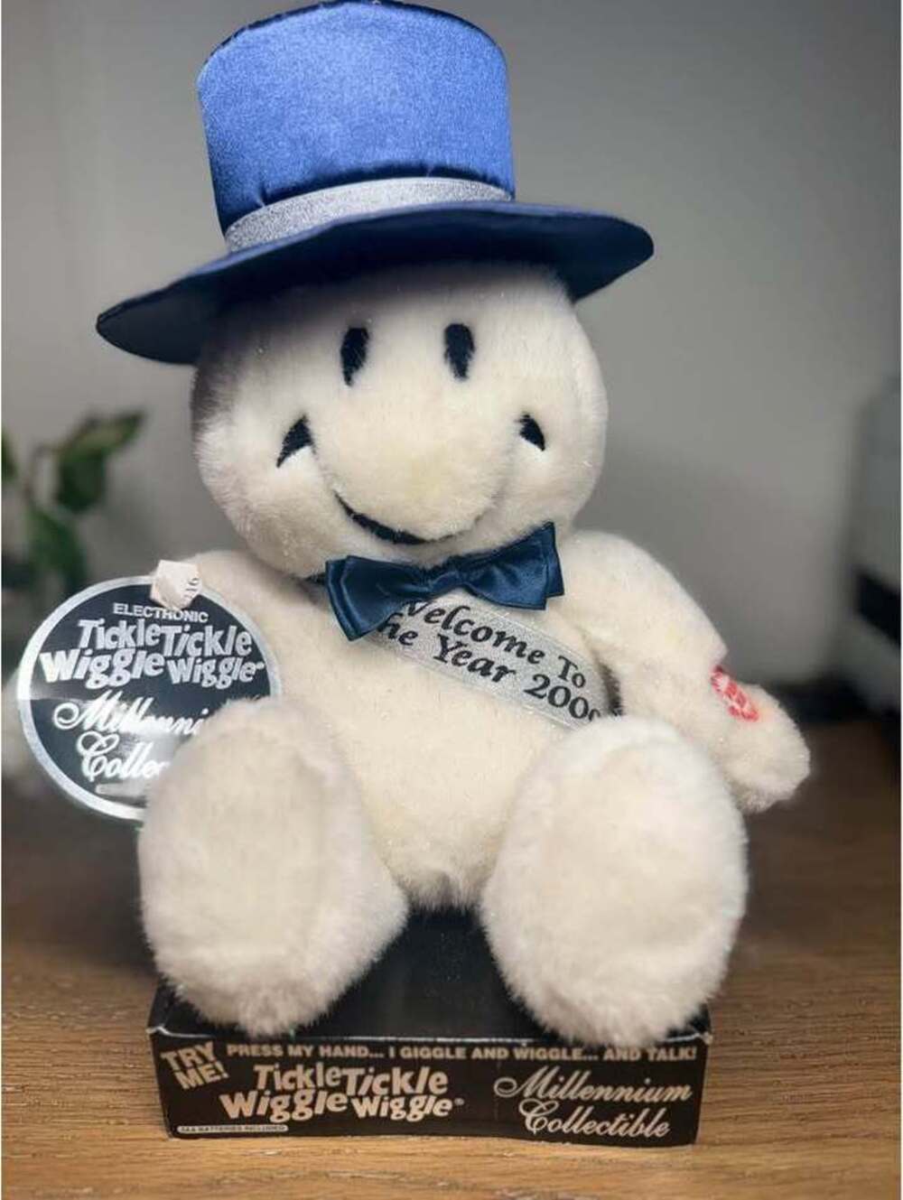 Dan Dee Tickle Tickle Wiggle Wiggle Millennium Collectible Year 2000 Plush
